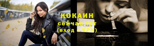 индика Новокубанск