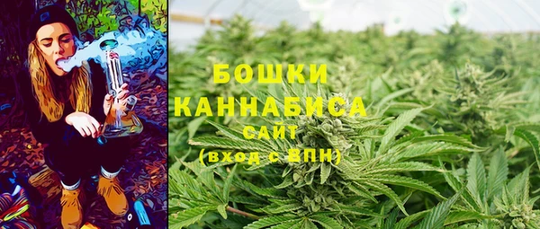 PSILOCYBIN Абдулино