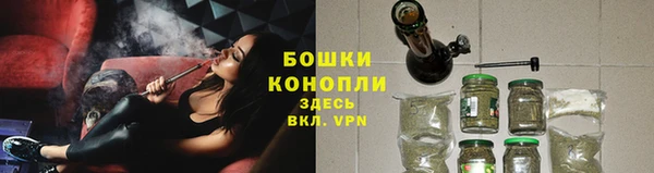 PSILOCYBIN Абдулино