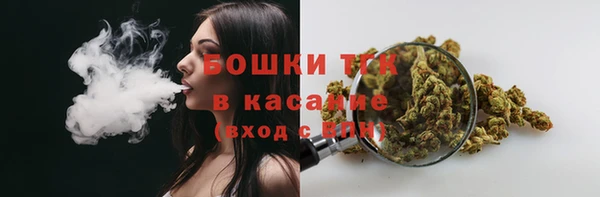бошки Новодвинск